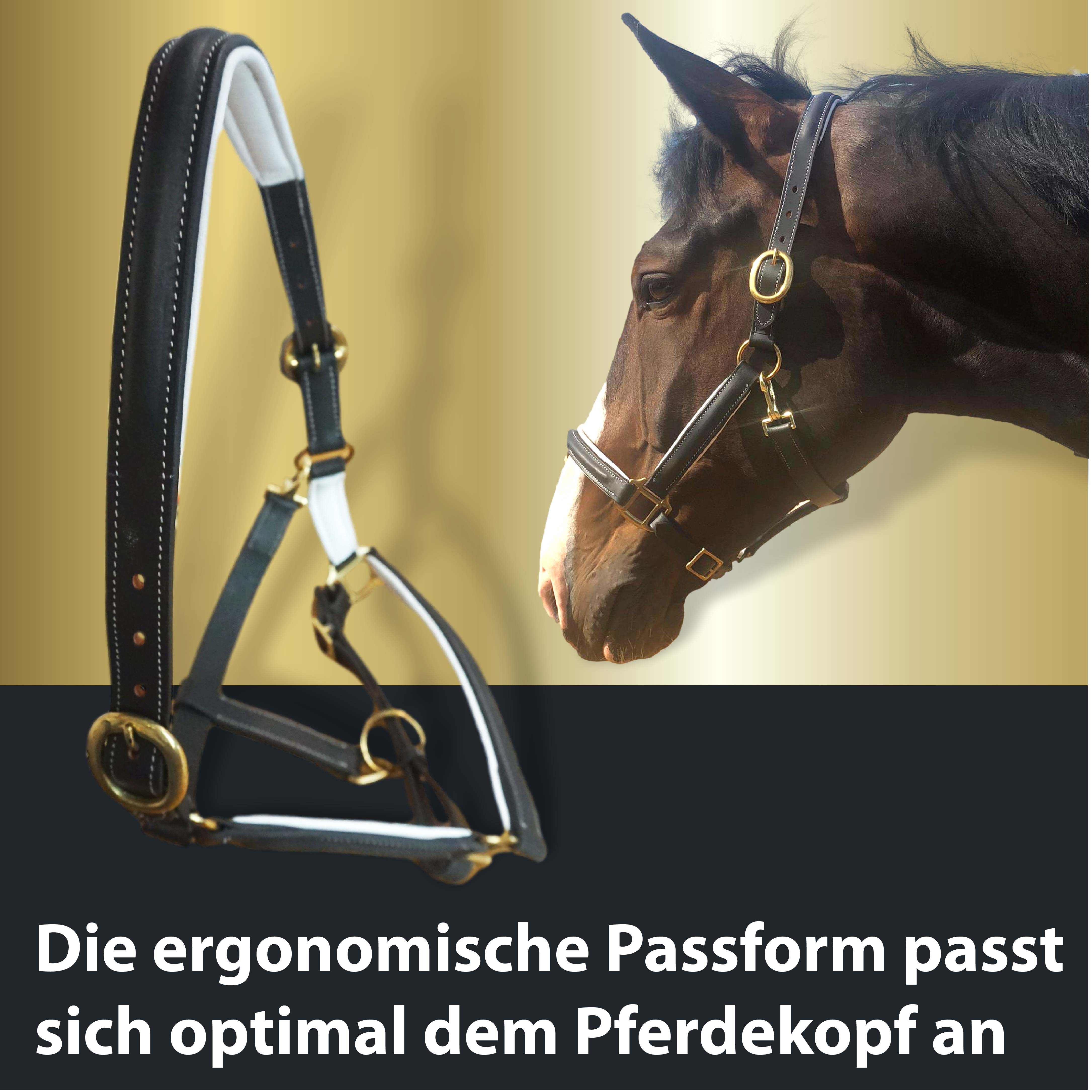 Lederhalfter in schwarz, weiß unterlegt Premium Stallhalfter